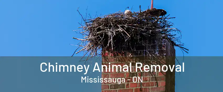 Chimney Animal Removal Mississauga - ON