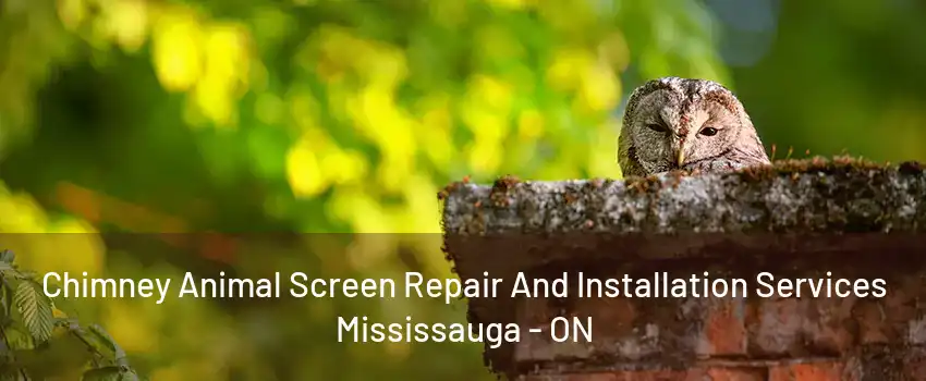 Chimney Animal Screen Repair And Installation Services Mississauga - ON