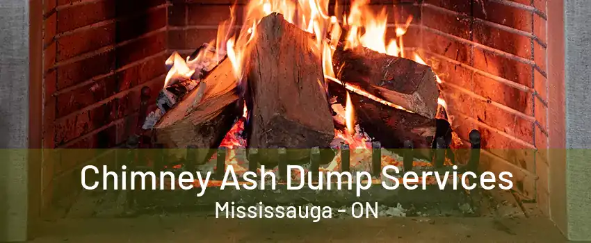 Chimney Ash Dump Services Mississauga - ON