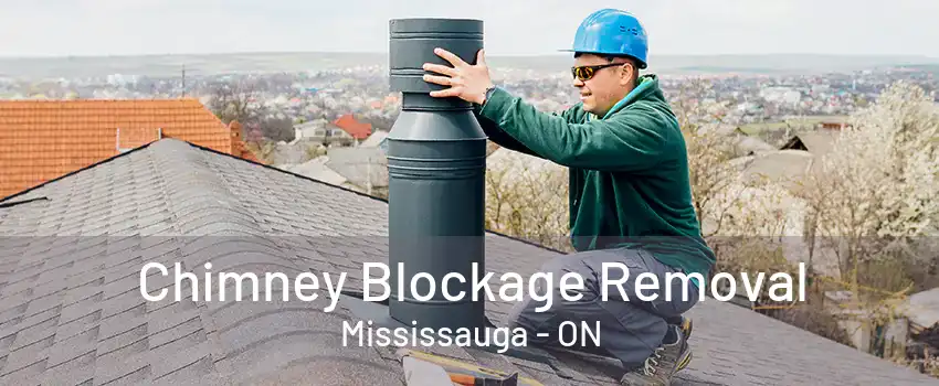 Chimney Blockage Removal Mississauga - ON