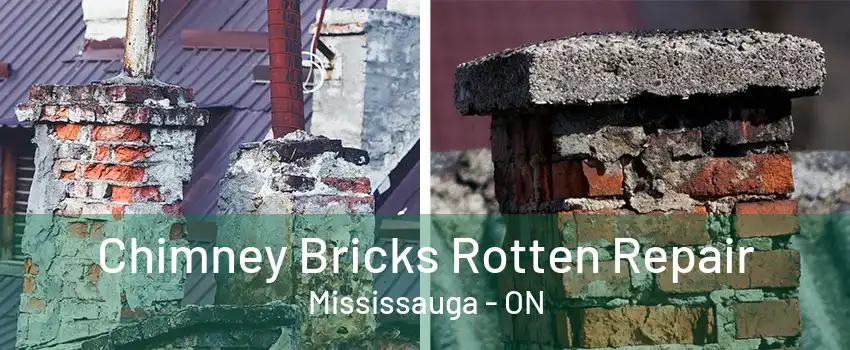 Chimney Bricks Rotten Repair Mississauga - ON