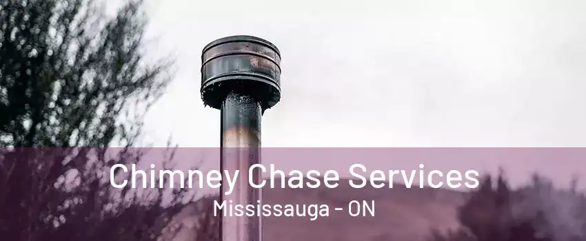 Chimney Chase Services Mississauga - ON