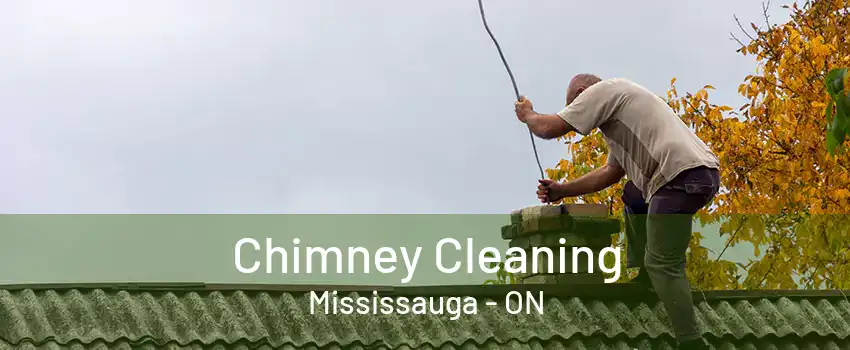 Chimney Cleaning Mississauga - ON