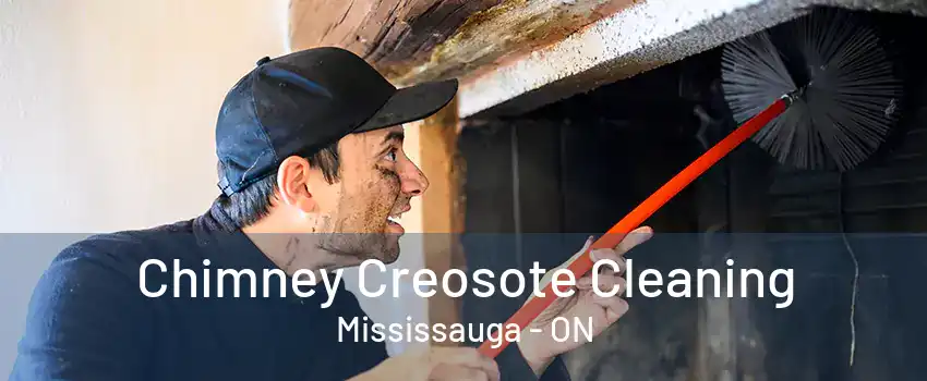 Chimney Creosote Cleaning Mississauga - ON