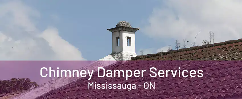 Chimney Damper Services Mississauga - ON