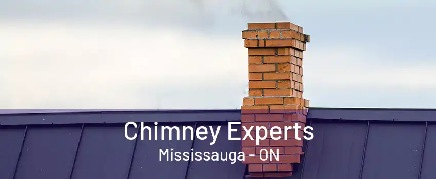 Chimney Experts Mississauga - ON