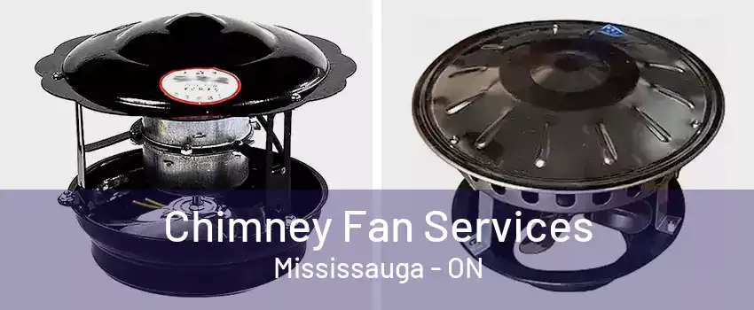 Chimney Fan Services Mississauga - ON