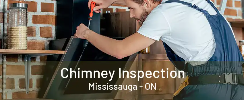 Chimney Inspection Mississauga - ON