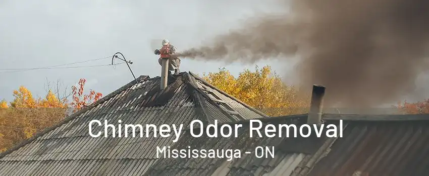 Chimney Odor Removal Mississauga - ON