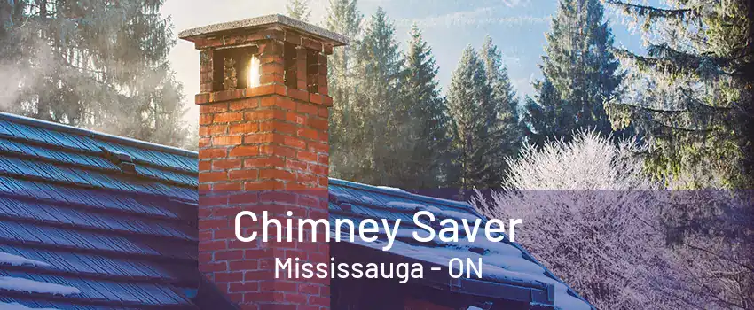 Chimney Saver Mississauga - ON