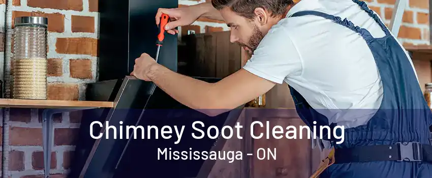 Chimney Soot Cleaning Mississauga - ON