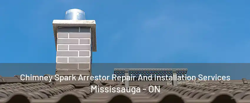 Chimney Spark Arrestor Repair And Installation Services Mississauga - ON