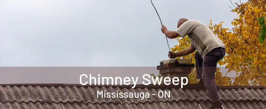 Chimney Sweep Mississauga - ON