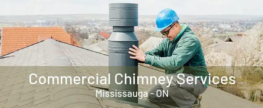 Commercial Chimney Services Mississauga - ON