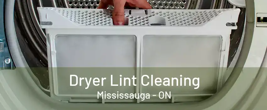 Dryer Lint Cleaning Mississauga - ON