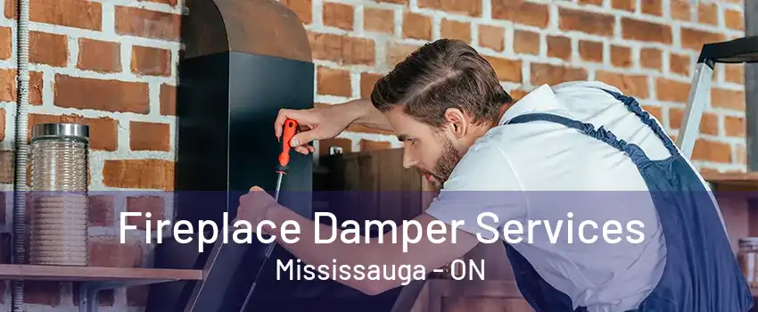 Fireplace Damper Services Mississauga - ON