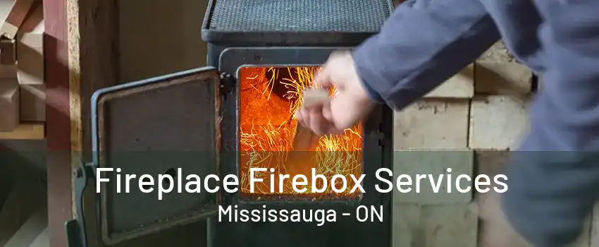 Fireplace Firebox Services Mississauga - ON