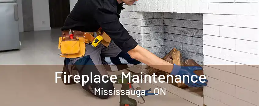 Fireplace Maintenance Mississauga - ON