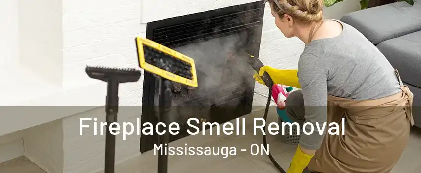 Fireplace Smell Removal Mississauga - ON