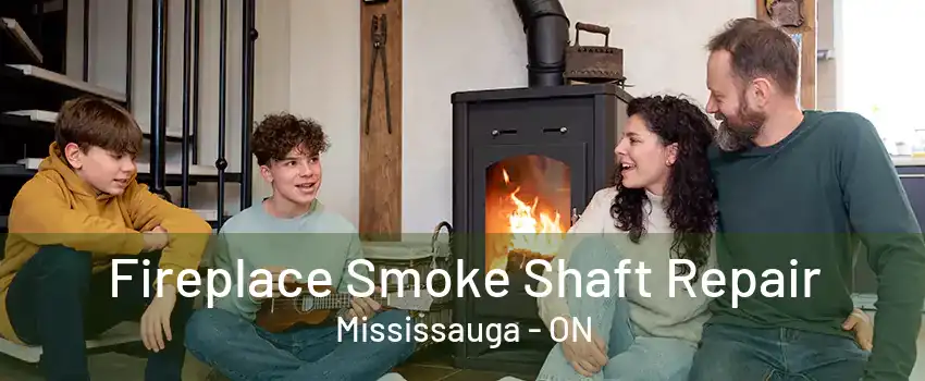 Fireplace Smoke Shaft Repair Mississauga - ON