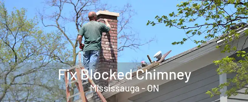 Fix Blocked Chimney Mississauga - ON