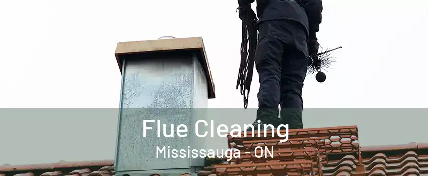 Flue Cleaning Mississauga - ON