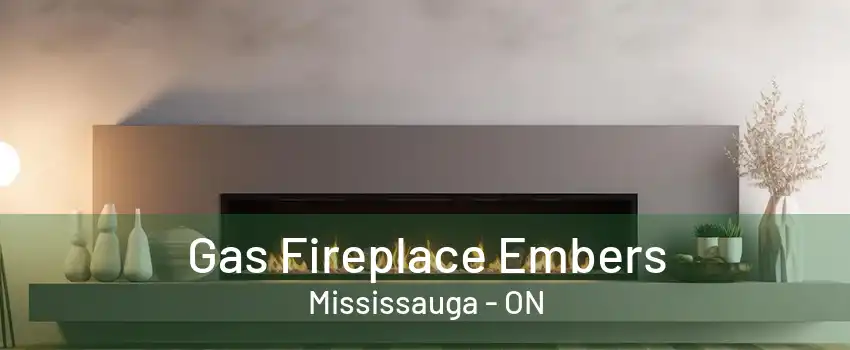 Gas Fireplace Embers Mississauga - ON