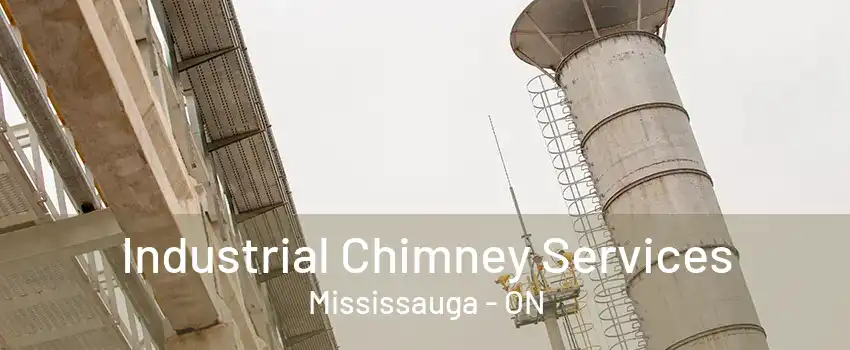 Industrial Chimney Services Mississauga - ON