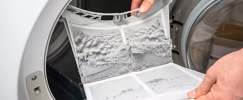 Best Dryer Lint Removal Company in Mississauga, Ontario