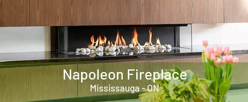 Napoleon Fireplace Mississauga - ON