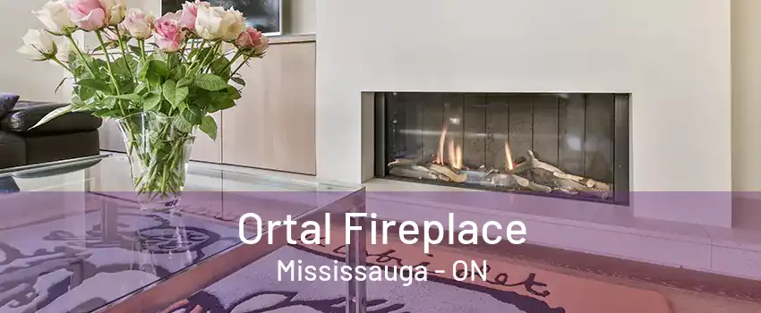 Ortal Fireplace Mississauga - ON