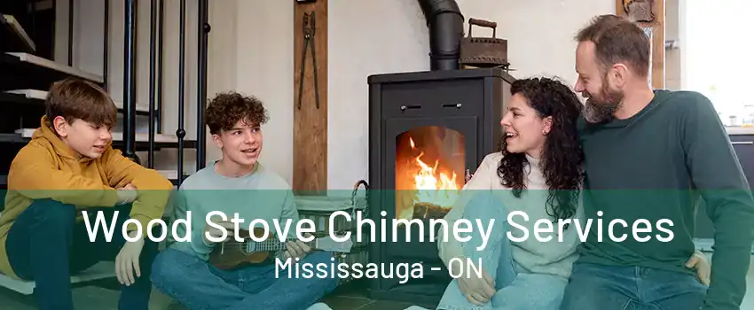 Wood Stove Chimney Services Mississauga - ON