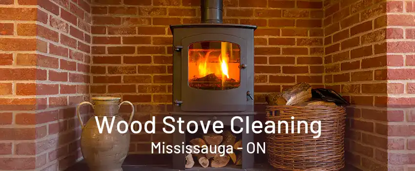 Wood Stove Cleaning Mississauga - ON